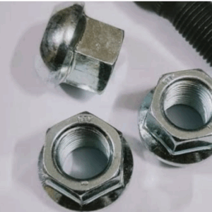 wheel nut leyland dost